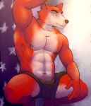  5_fingers abs anthro bottomwear canid canine clothing countershade_face countershade_legs countershade_torso countershading fingers five_nights_at_freddy&#039;s fox foxy_(fnaf) fur kneeling male mammal muscular muscular_anthro muscular_male navel nipples pecs pupils raised_arm red_body red_fur shirtless shorts shorts_only simonsbathtub slit_pupils solo stars_and_stripes tan_body tan_fur united_states_of_america video_games 