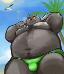  2021 absurd_res anthro beach belly black_nose blush bulge canid canine canis clothing cute_fangs domestic_dog hi_res humanoid_hands kemono male mammal moobs navel nipples outside overweight overweight_male seaside solo swimwear yuuh1212 