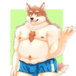  1:1 2021 anthro belly brown_body brown_fur bulge canid canine canis clothing domestic_dog fur ga_sai7 hi_res humanoid_hands kemono male mammal moobs nipples overweight overweight_male simple_background solo underwear 