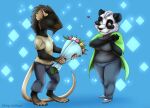  2020 5_fingers absurd_res akira_volfsar anthro breasts clothed clothing digital_media_(artwork) duo female fingers giant_panda hi_res male mammal murid murine rat rodent standing ursid 