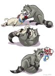  belly burping canid canine canis collar domestic_dog duo feral hi_res male mammal meeko_(disney) oral_vore paws pocahontas procyonid raccoon same_size_vore strega vore 
