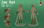  14:9 different_angles expressions hi_res joerat male mammal model_sheet murid murine rat rodent solo 