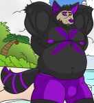  anthro beach black_body black_fur briefs bulge canid canine clothing cloud coconut detailed_background drupe_(fruit) food fruit fur hi_res male mammal nipples obese overweight overweight_anthro overweight_male palm_tree pink_eyes plant purple_body purple_fur seaside shrub sky solo tagme tree underwear water 