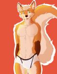  anthro ashi_ton big_tail black_nose bulge canid canine clothing cute_expression fox fur heterochromia hi_res male mammal orange_body orange_fur pink_tongue red_background shy simple_background smile solo tongue underwear 