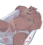  absurd_res anthro armpit_hair bath bathtub belly blush bodily_fluids body_hair breasts cum erection flower_petals fur genital_fluids genitals hair hi_res humanoid_genitalia humanoid_penis looking_at_viewer lvx male mammal nipple_piercing nipples nude overweight overweight_anthro overweight_male penis petals piercing rose_petals simple_background smile solo spreading unknown_character ursid water wet 