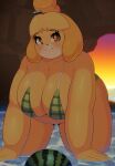  absurd_res animal_crossing anthro big_breasts bikini blonde_hair braffy breasts canid canine canis cleavage clothed clothing domestic_dog female food fruit hair hi_res isabelle_(animal_crossing) mammal melon nintendo overweight overweight_female plant shih_tzu solo swimwear toy_dog video_games watermelon yellow_body 