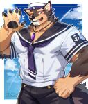  absurd_res anthro canid canine clothed clothing cloud detailed_background digital_media_(artwork) fur headgear headwear hi_res live-a-hero male mammal omochi_kuitai pubraseer purple_neckwear sky solo video_games 