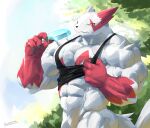  2021 4_fingers abs anthro biceps big_muscles bodily_fluids claws clothing detailed_background digital_media_(artwork) fingers food fur kuroma looking_at_viewer male markings mostly_nude muscular muscular_anthro muscular_male nintendo outside pecs pok&eacute;mon pok&eacute;mon_(species) popsicle red_body red_fur red_markings shirt solo sweat tank_top topwear triceps video_games watermark white_body white_fur zangoose 