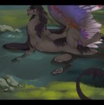  absurd_res blurred_foreground claws dragon dripping feathered_wings feathers featureless_crotch feral finger_claws fur grass hair hi_res krugell male meadow muscular omniroy_(character) partially_submerged plant presenting shaded soaked solo spread_legs spreading tail_tuft toe_claws tuft water wings 