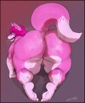  all_fours anthro big_butt bodily_fluids butt canid canine countershading dipstick_tail feet female fox foxlove fur gradient_background hair hi_res huge_butt humanoid_feet hyper hyper_butt izzy223 looking_at_viewer mammal multicolored_tail musk nude pink_body pink_fur pink_hair plantigrade signature simple_background solo steam sweat sweaty_butt sweaty_legs sweaty_thighs thick_thighs 