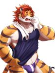  3:4 abs anthro bulge chuurow clothing felid hair hi_res male mammal muscular muscular_anthro muscular_male nipples nomad_(tas) pantherine pecs red_hair shirt solo speedo swimwear tank_top tiger tokyo_afterschool_summoners topwear towel video_games 