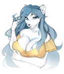  anthro arctic_fox big_breasts blue_eyes blue_hair blue_stripes breasts canid canine cleavage clothed clothing female fox fur hair hi_res mammal smile soft solo stripes tja white_body white_fur 