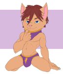  2021 5_fingers anthro arm_tuft athletic athletic_anthro athletic_male big_bulge blue_eyes bottomwear bristol brown_body brown_eyebrows brown_fur brown_hair bulge cheek_tuft claws closed_smile clothed clothing colored_sketch digital_drawing_(artwork) digital_media_(artwork) digitigrade ear_tuft eyebrows facial_tuft facing_viewer feet fingers flat_colors full-length_portrait fur hair half-closed_eyes humanoid_feet humanoid_hands kennen_(lol) kneeling league_of_legends lightning_bolt looking_at_another looking_at_partner male mammal multicolored_body multicolored_bottomwear multicolored_clothing multicolored_ears multicolored_fur muscular muscular_male narrowed_eyes navel pecs pink_ears pink_nose portrait purple_background purple_bottomwear purple_clothing purple_mask purple_shorts quads ribcage riot_games seductive shorts simple_background solo spread_legs spreading tan_body tan_ears tan_fur three-quarter_portrait topless topless_male tuft two_tone_body two_tone_bottomwear two_tone_clothing two_tone_ears two_tone_fur two_tone_mask video_games white_background white_claws yellow_clothing yellow_mask yordle 