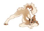  2021 ambiguous_gender canid canine canis digital_media_(artwork) domestic_dog feet feral green_eyes hoot_(artist) mammal solo toes 