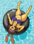  anthro bikini breasts brown_hair candy chocolate clothing dessert eyewear female food glasses hair inflatable inner_tube lagomorph layla_(ponehanon) leporid mammal rabbit solo swimwear zaboom 