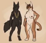  2021 amanra_(fuzzikayu) animal_genitalia anthro anubian_jackal areola balls biped breasts brown_hair canid canine canis caracal caracal_(genus) digitigrade duo felid feline female fully_sheathed fur fuzzikayu genitals green_eyes hair hi_res jackal jewelry male mammal navel necklace nipples orange_body orange_fur rilohn sheath simple_background standing white_body white_fur 