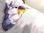  2018 4:3 anthro bed bedding blanket blush canid canine duo fur furniture grey_body grey_ears grey_fur grey_inner_ear hand_on_head head_on_pillow inside lying male male/male mammal nullraihigi obese on_back on_bed open_mouth overweight pillow sleeping smile 