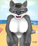  5:6 absurd_res anthro beach big_breasts breasts canid curvy_figure female genitals hi_res looking_at_viewer mammal pussy seaside solo 