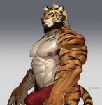  2021 abs anthro armpit_hair barazoku beard big_bulge big_muscles black_hair black_stripes blue_eyes body_hair bulge claws clothed clothing countershading erection erection_under_clothing facial_hair felid fur grey_background hair happy_trail hi_res inner_ear_fluff male mammal multicolored_body multicolored_fur muscular muscular_anthro muscular_male navel nipples obliques orange_body orange_fur pantherine pecs pubes simple_background solo standing striped_body striped_fur stripes suck-nis tenting text thong tiger tuft underwear url vein white_body white_countershading white_fur white_hair 