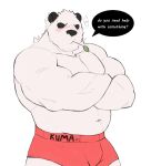  0rnix absurd_res anthro belly biceps bottomwear bulge clothed clothing crossed_arms dialogue english_text fur giant_panda hi_res looking_at_viewer male mammal musclegut muscular muscular_anthro muscular_male navel nintendo object_in_mouth pangoro pecs pok&eacute;mon pok&eacute;mon_(species) shirtless simple_background solo speech_bubble text underwear underwear_only ursid video_games white_body white_fur 