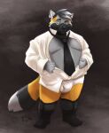  2020 anthro belly black_nose brown_body brown_fur clothed clothing fur grey_body grey_fur hi_res humanoid_hands izvy_(artist) male mammal moobs necktie open_clothing open_shirt open_topwear overweight overweight_male procyonid raccoon roweland shirt solo topwear undressing 