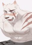  abs anthro bottomwear canid canine clothing eye_scar facial_scar fur hachi_duchi hi_res male mammal muscular muscular_anthro muscular_male nipples pecs scar simple_background solo white_body white_fur 