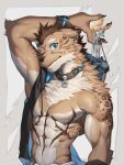  3:4 abs absurd_res anthro biceps bottomwear canid canine claws clothing collar fur hair hi_res male mammal muscular nipples pecs simple_background solo ty_arashi 