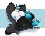  4_toes anthro big_pecs black_body black_fur blue_hair blue_nipples blue_nose blue_pawpads canid canine canis feet fox fur hair hands_behind_head hi_res hybrid male mammal muscular muscular_anthro muscular_male nipples pawpads pecs schwarzfox schwarzfox_(character) solo toes wolf 