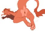  2018 4_toes andromorph_(lore) anthro anus ares_(devilenby) big_tail butt digital_media_(artwork) feet female fur genitals hair hybrid looking_at_viewer mammal mane matuska open_mouth pawpads paws presenting pussy red_body red_fur red_hair short_hair simple_background solo sploot teeth toes tongue tongue_out white_background yellow_eyes 