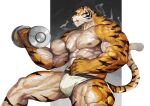  abs absurd_res anthro areola arm_scar biceps big_muscles biped bodily_fluids claws clothed clothing dripping dumbbell exercise felid finger_claws fur hi_res holding_object huge_muscles male mammal mouth_scar muscular muscular_anthro muscular_male orange_body orange_fur pantherine pecs scar solo striped_body striped_fur stripes sweat tiger topless traver009 underwear veiny_muscles weightlifting weights white_clothing white_underwear workout 