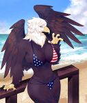  2021 30clock 4_fingers accipitrid accipitriform american_eagle american_flag_bikini anthro avian bald_eagle beach beak big_breasts bikini bikini_pull biped bird black_claws black_eyebrows black_eyelashes bottomwear breasts brown_body brown_feathers brown_wings claws cleavage clothed clothing clothing_pull cloud curvy_figure day detailed_background digital_media_(artwork) eagle eyebrows feathered_wings feathers female finger_claws fingers front_view fully_clothed hi_res hourglass_figure light lighting midriff multicolored_body multicolored_feathers navel non-mammal_breasts outside pinup pose railing raised_hand sand sea sea_eagle seaside shaded shadow skimpy sky smile solo stars_and_stripes sunlight swimwear swimwear_pull tail_feathers talons thick_thighs topwear translated_description two_tone_body two_tone_feathers united_states_of_america water white_body white_feathers white_tail wide_hips winged_arms wings yellow_beak yellow_eyes 