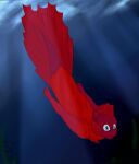  absurd_res anthro clothing draik fish hi_res male marine red_body robe solo swimming 