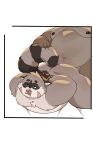  2021 anthro belly blush bonasiah bound brown_body brown_fur duo fur haoming hi_res humanoid_hands kemono male male/male mammal moobs nipples overweight overweight_male procyonid raccoon rocco_(zoohomme) rope sex zoohomme 