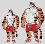  2021 abs anthro biceps bottomwear clothing cyanroll duo felid footwear fur kemono male mammal muscular muscular_anthro muscular_male pantherine paws_(cyanroll) pecs simple_background tiger 