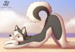  2021 anthro ass_up beach black_nose blue_eyes canid canine canis cloud day digital_media_(artwork) domestic_dog female flat_chested fur grey_body grey_fur hana_(jishinu) husky jishinu looking_at_viewer lying mammal multicolored_body multicolored_fur nordic_sled_dog nude on_front outside seaside sky solo spitz two_tone_body two_tone_fur white_body white_fur 