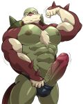  4:5 abs absurd_res anthro big_pecs big_penis brown_body bulge cain_(draidiard) chesnaught clothing erection flexing genitals green_body hi_res humanoid_genitalia humanoid_penis maldu male muscular muscular_anthro muscular_male nintendo nipples pecs penis pok&eacute;mon pok&eacute;mon_(species) poking_out shell shiny_pok&eacute;mon simple_background solo speedo spiked_shell spikes spikes_(anatomy) swimwear video_games white_background 