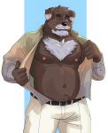  2021 anthro beard belly blue_eyes bottomwear brown_body brown_fur canid canine canis clothed clothing domestic_dog facial_hair fur hi_res humanoid_hands male mammal mature_male mustache naikuma nipples open_clothing open_shirt open_topwear pants shirt slightly_chubby solo topwear undressing 