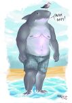  avian beach belly bird bottomwear clothing dc_comics fish gull hi_res humanoid hungry king_shark lari larid male marine nanaue nipples outside overweight seaside shark shorts solo suicide_squad water wazellthewolf 