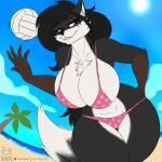  1:1 2021 abs anthro beach bent_over big_breasts bikini black_body black_fur black_hair breasts brown_body brown_fur canid canine canis chest_tuft clothing curvy_figure detailed_background digital_media_(artwork) eyelashes female fingers fur hair hand_on_hip hi_res hourglass_figure huge_breasts inner_ear_fluff long_hair mammal multicolored_body multicolored_fur muscular muscular_anthro muscular_female outside polka_dot_bikini red_eyes scar sea seaside smile solo sport standing swimwear tacticalfur teeth thick_thighs tuft volleyball voluptuous water white_body white_fur wide_hips wolf 