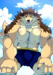  abs absurd_res anthro barrel_(live-a-hero) biceps bottomwear bulge canid canine canis clothing fur hi_res kemox2 live-a-hero male mammal multicolored_body multicolored_fur muscular muscular_anthro muscular_male nipples pecs shorts solo swimwear video_games wolf 