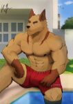  abs anthro bottomwear canid canine canis clothing detailed_background k9_meta kawe looking_away male mammal muscular muscular_male pants pecs red_eyes scar sitting solo swimming_pool wolf 