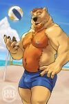  2021 2:3 anthro ball beach biceps bruteandbrawn bulge claws clothed clothing eyewear facial_hair finger_claws fur glasses goatee green_eyes hair hand_on_hip hi_res looking_at_viewer male mammal multicolored_body multicolored_fur musclegut muscular muscular_anthro muscular_male nipple_piercing nipples open_mouth orange_body orange_fur orange_hair outside pawpads pecs piercing portrait sand seaside shore slightly_chubby solo sport standing swimwear tan_body tan_fur teeth three-quarter_portrait tongue triceps two_tone_body two_tone_fur ursid volleyball volleyball_(ball) volleyball_net water 