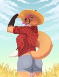  2021 anthro breasts canid canine clothed clothing cowgirl_(disambiguation) day detailed_background digital_media_(artwork) eyebrows eyelashes female fox hair hi_res mammal outside sky smile standing tenynnart 