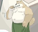  2021 anthro belly black_nose brown_body brown_fur brush brushing brushing_teeth canid canine canis detailed_background domestic_dog fugashi4090 fur humanoid_hands inside kemono male mammal moobs navel nipples overweight overweight_male shiba_inu solo spitz towel 