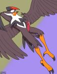  accipitrid accipitriform anthro anthrofied avian beak bird bodily_fluids dustin_c erection falconid feathered_wings feathers fur genital_fluids genitals hair hi_res looking_at_viewer male multicolored_hair nintendo penis pok&eacute;mon pok&eacute;mon_(species) red_eyes simple_background smile solo staraptor tail_feathers talons video_games wings 