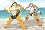  abs anthro barrel_(live-a-hero) beach biceps bikini canid canine canis clothing detailed_background felid fur hi_res live-a-hero male mammal muscular muscular_anthro muscular_male nipples outside pantherine pecs ryekie_(live-a-hero) sand seaside sky solard0gg0 swimwear tiger video_games wolf 