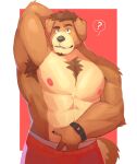  abs anthro armpit_hair biceps body_hair bottomwear canid canine canis chest_tuft cilok clothing domestic_dog facial_hair fur hair hi_res hybrid male mammal muscular muscular_anthro muscular_male nipples pecs simple_background solo tuft ursid 