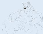  2021 abs anthro biceps canid canine canis frankescobarx genitals humanoid_genitalia humanoid_penis law_(sdorica_sunset) line_art male mammal muscular muscular_anthro muscular_male muscular_thighs overweight pecs penis pubes sdorica solo spread_legs spreading tagme wolf 
