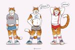  2020 anthro belly clothed clothing digital_media_(artwork) domestic_cat felid feline felis male mammal midriff navel slightly_chubby smile solo tenynnart 