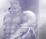  anthro arms_tied blush bodily_fluids bound canid canine canis cnidarian duo jellyfish kemono male mammal marine medusozoan misokemo moobs muscular muscular_male navel nipple_fetish nipple_play simple_background sweat tentacle_sex tentacles tentacles_on_male wolf 